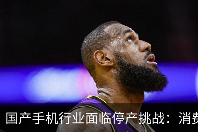 国产手机行业面临停产挑战：消费者购机风险分析