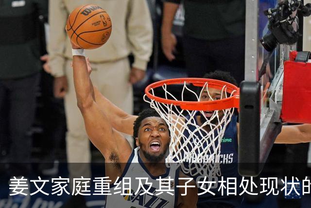 姜文家庭重组及其子女相处现状的探讨